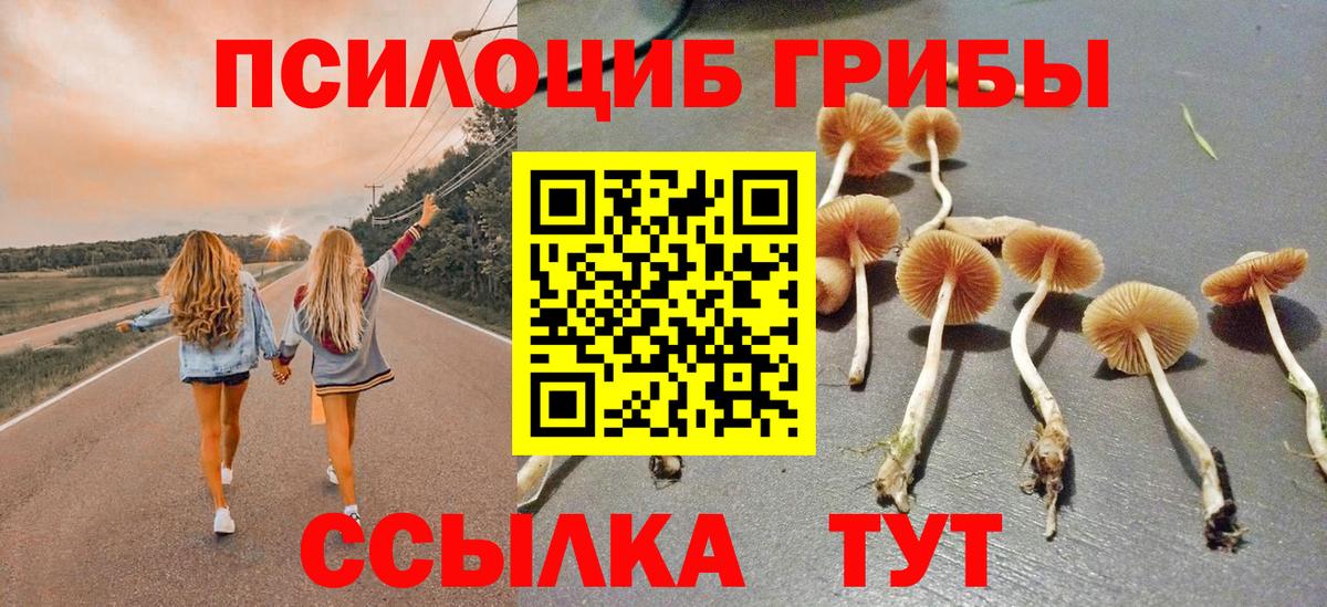 Псилоцибиновые грибы Magic Shrooms Амурск