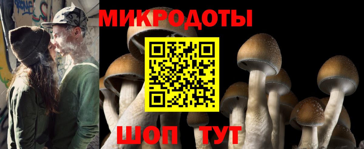 Галлюциногенные грибы мицелий  Вход с VPN  Амурск 